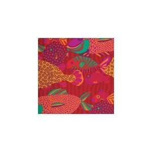    Quilting Kaffe Fassett Collective BM29 red Arts, Crafts & Sewing