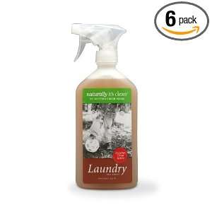  Naturally Its Clean Laundry Pre Treat, 16 Ounce (Pack of 