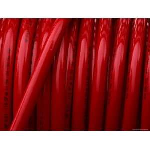  Close up of Shiny Coiled Red Fire Hoses Photographic 