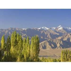  Indus Valley and Stok Kangri Massif, Leh, Ladakh, Indian 