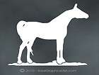 ARABIAN HORSE decal for your tack box truck or trailer