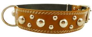 21 26 Double Ply Leather Dog Collar Studded Light Brown 1.75  