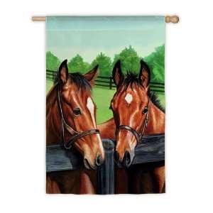  House Size Flag,Horses by the Fence Patio, Lawn & Garden