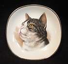 collectable cat plate weatherby hanley royal falcon ware returns 