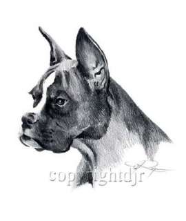 BOXER Dog Drawing ART NOTE CARDS by Artist DJR  