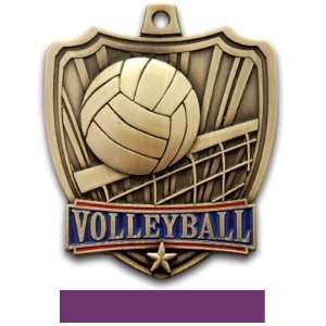   Volleyball Medals GOLD MEDAL/PURPLE RIBBON 2.5