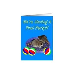  Pool Party Invitation, Raccoons in pool, beach ball Card 