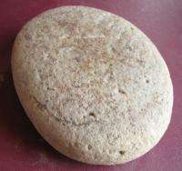 AMERICAN INDIAN NUTTING STONE from ARKANSAS 7231  