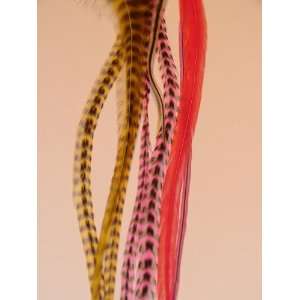   Golden Grizzlys & Badgers and Hot Pink Premium Feather Hair Extensions