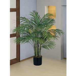  3 Areca Silk Palm Tree
