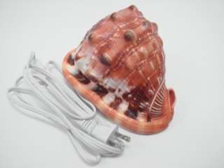 RED CAMEO SEA SHELL NIGHT LIGHT TABLE LAMP 5 6 #7490  