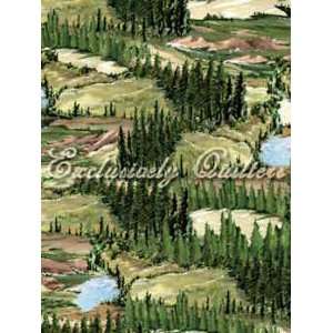  EQ60239 4 Landscape Fabric by Exclusively Quilters Fabrics 
