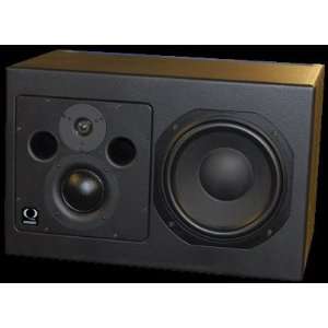   Quested V3110 (Active Mid field Studio Monitor) Musical Instruments